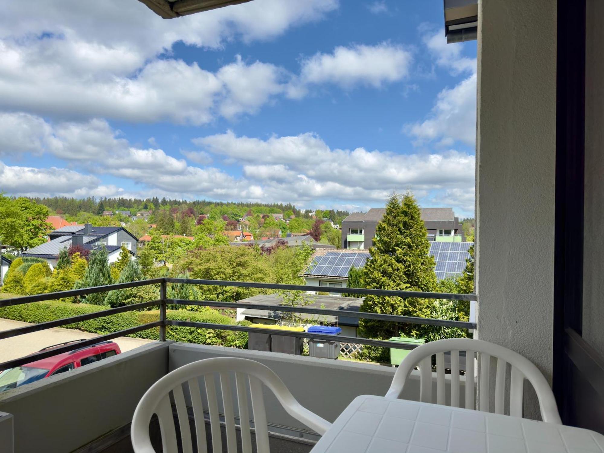 גוסלר Ferienwohnung In Hahnenklee מראה חיצוני תמונה