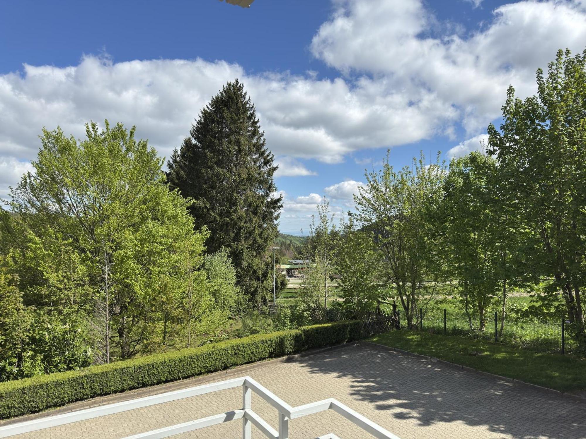 גוסלר Ferienwohnung In Hahnenklee מראה חיצוני תמונה
